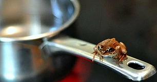 BOILING FROG